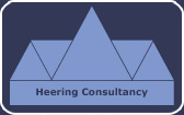Heering-Consultancy-logo